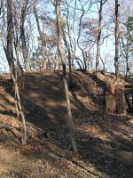 栃木市茶臼山第1号古墳