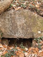 足利市上山古墳群1号墳