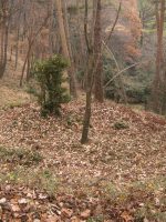 足利市上山古墳群2_3号墳