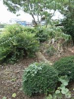 春日部市内牧塚内古墳群塚内6_7号墳