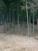 足利市矢場川村43号墳