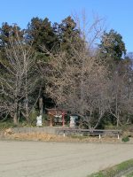 小山市薬一神社古墳