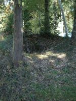 佐野市山越古墳群1号墳