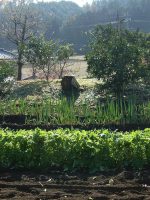 佐野市山越古墳群3_7_8号墳