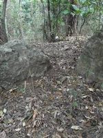 足利市八椚3_4_5号墳