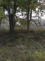 足利市八椚7_8号墳