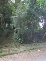 佐野市四ツ塚古墳群