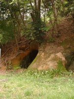 鳩山町十郎横穴墓群