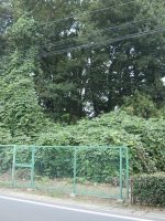 蓮田市十三塚1号墳