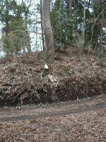 益子町荒久台古墳群11号墳