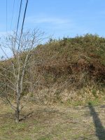 益子町荒町古墳群24_26号墳