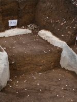 壬生町吾妻古墳現地説明会2008年