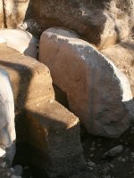 壬生町吾妻古墳現地説明会2010年