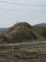 益子町バッカン塚古墳群2_3_4号墳