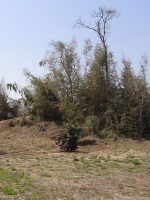 真岡市台山古墳群