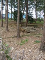 下野市東国分2号墳