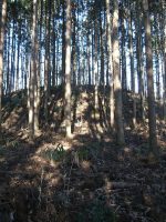 市貝町本社山古墳