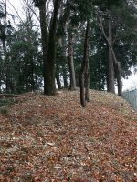 下野市星宮神社古墳群8号墳