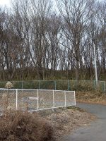 益子町星の宮浅間塚古墳