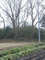 鹿沼市藤江古墳群1号墳