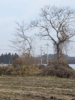 鹿沼市藤江古墳群6_7_8_11号墳