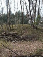 鹿沼市藤江東原古墳群3_4_6号墳