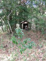 壬生町藤井古墳群53号墳