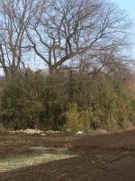 壬生町藤井東古墳群6_7号墳