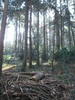 真岡市瓢箪塚古墳