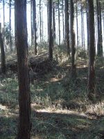 市貝町石下古墳群2_3_4_5号墳