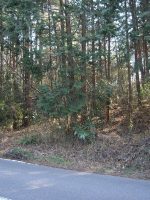 市貝町石下古墳群16_17_19号墳