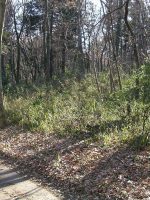 上三川町磯岡・西汗古墳群6_7号墳