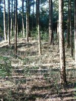 市貝町金井古墳群1_3号墳