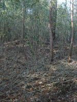 市貝町諏訪塚古墳群3_4号墳