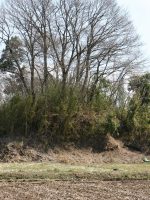 宇都宮市亀塚古墳