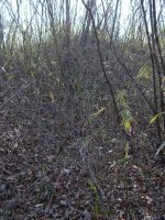 市貝町上根二子塚古墳群3号墳