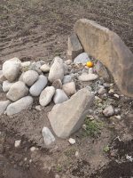 真岡市上大曽古墳群跡