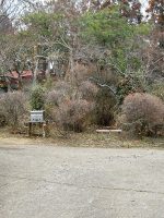 下野市上谷田古墳