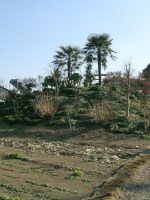 壬生町上坪古墳