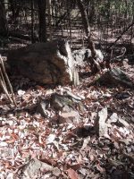 足利市金丸古墳群16号～21号墳