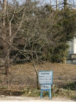 真岡市観音山1号墳