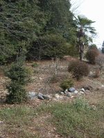 鹿沼市川入古墳群5_6_7_14_15号墳