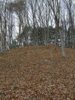 宇都宮市瓦塚古墳群20_21_22_23号墳