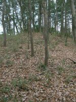 鹿沼市上石川大塚古墳群3_4号墳