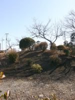 下野市下古山北原古墳