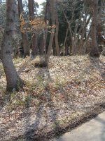 益子町北原B古墳群2号墳