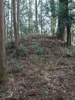 益子町古聖古墳群1号墳