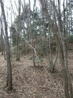 益子町古聖古墳群13号墳