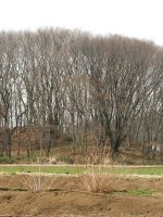 下野市甲塚古墳