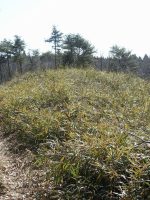 市貝町駒塚古墳群2号墳